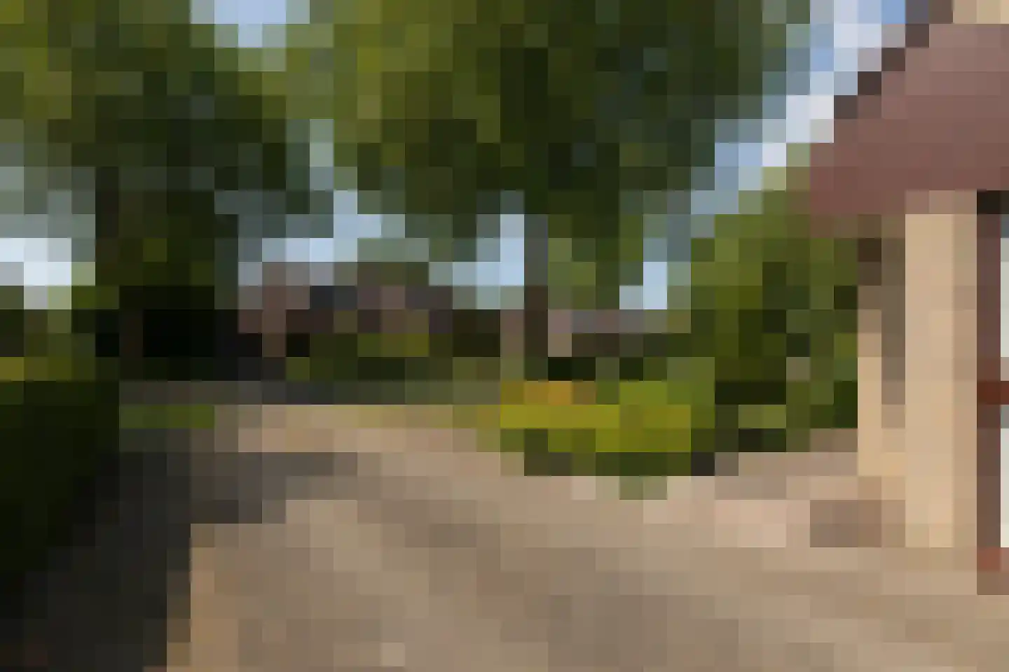 Molenkrite 105 Sneek thumbnail 38