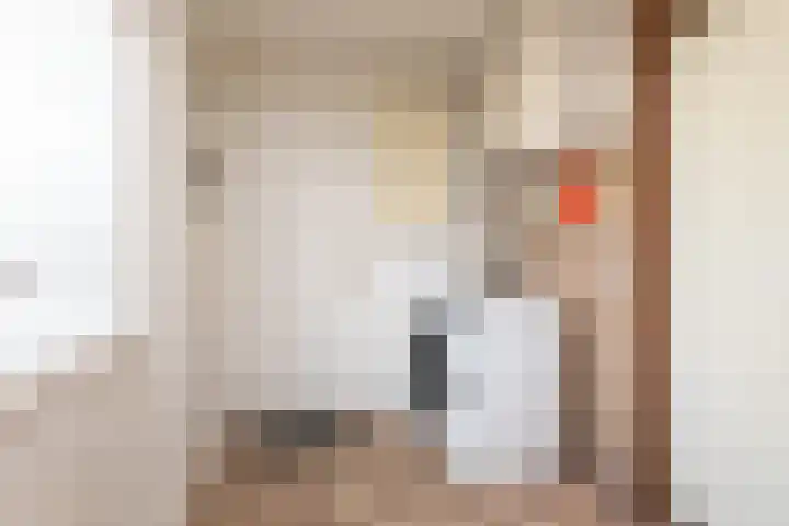 Molenkrite 129 Sneek thumbnail 12