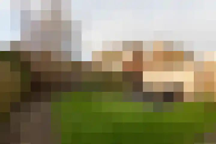 Molenkrite 129 Sneek thumbnail 32