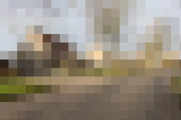 Molenkrite 129 Sneek thumbnail 40