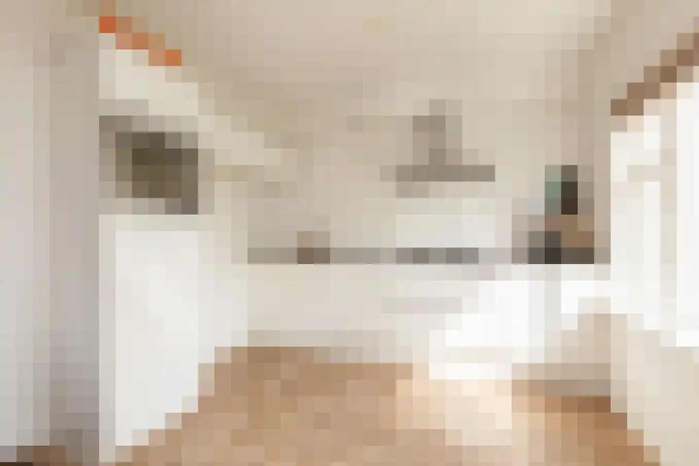 Molenkrite 145 Sneek thumbnail 12
