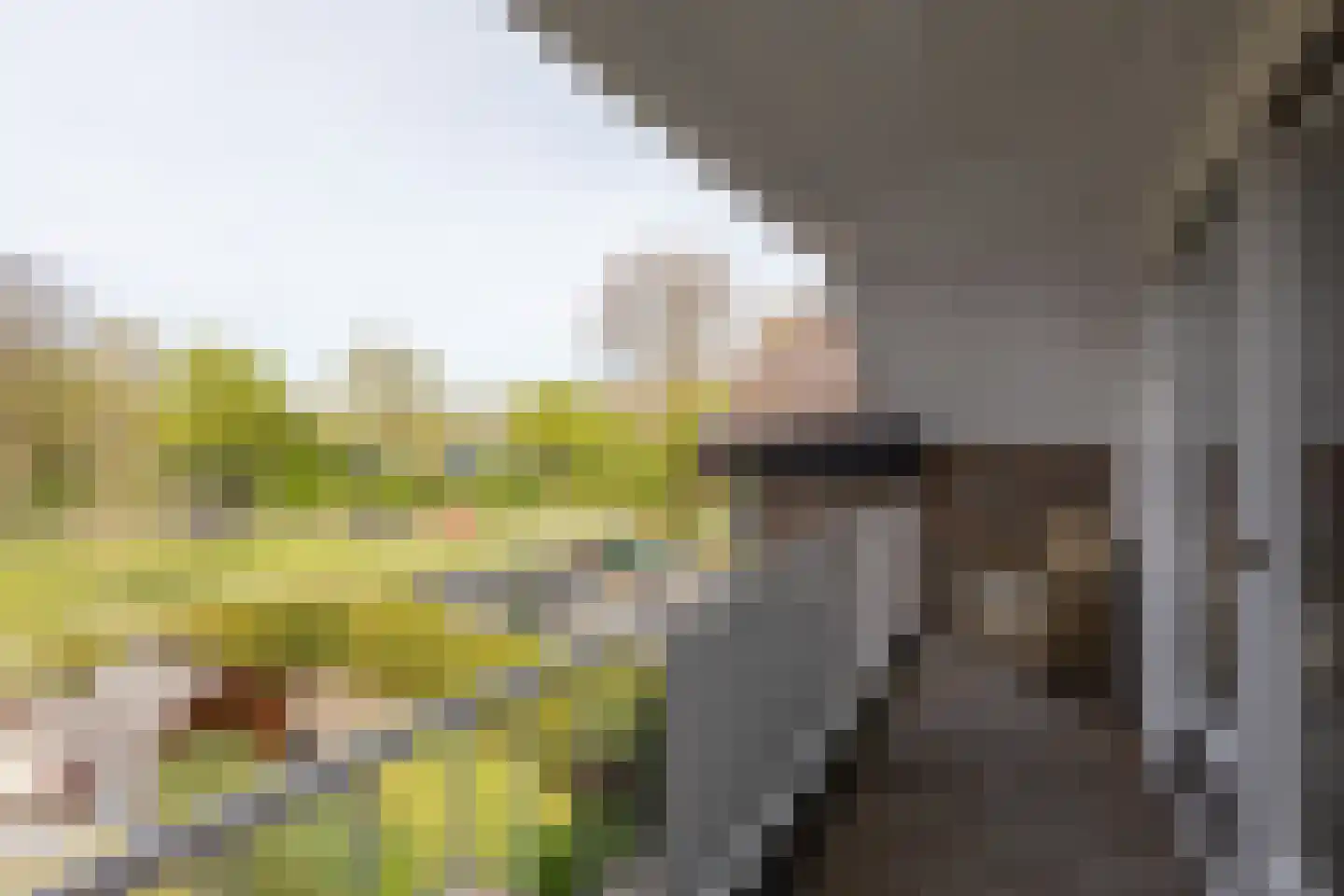 Molenkrite 145 Sneek thumbnail 26