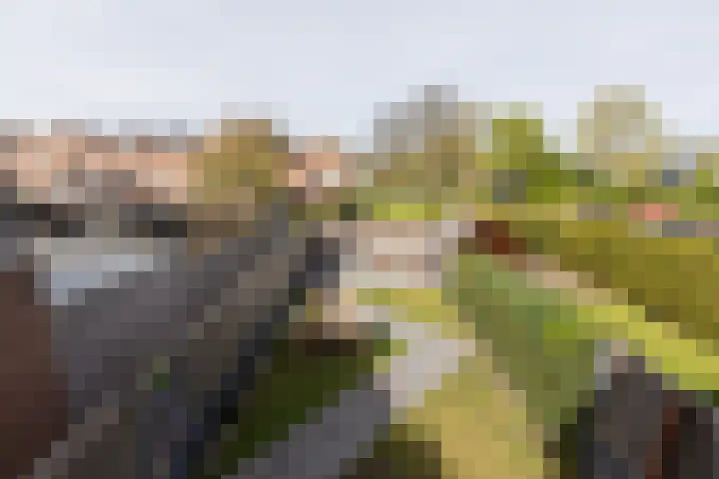 Molenkrite 145 Sneek thumbnail 7