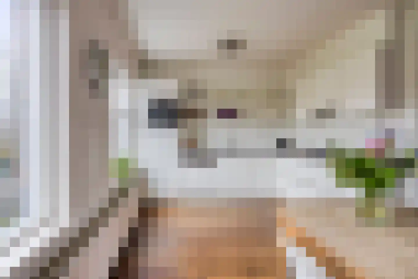 Molenkrite 147 Sneek thumbnail 10