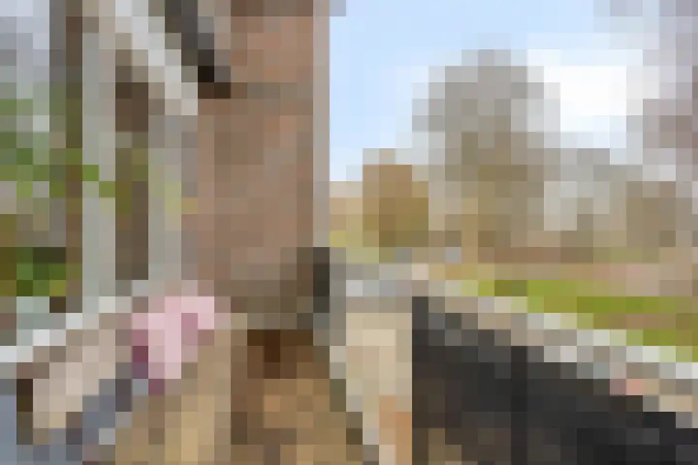 Molenkrite 147 Sneek thumbnail 15