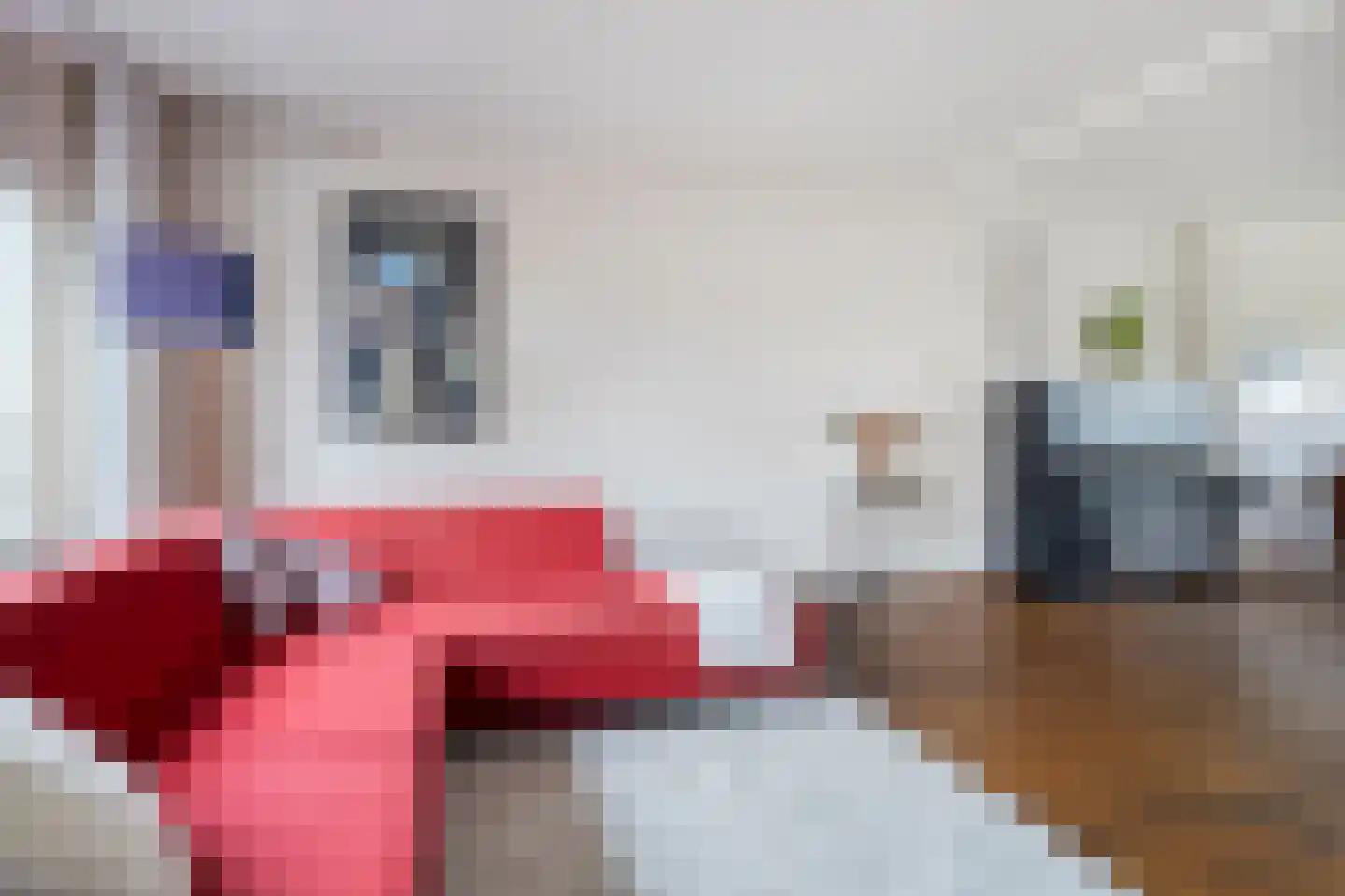 Molenkrite 147 Sneek thumbnail 8