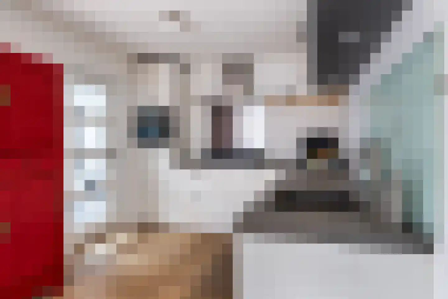 Molenkrite 3 Sneek thumbnail 23