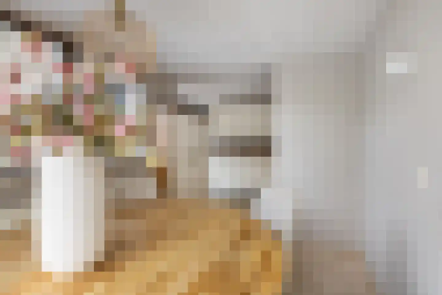 Molenkrite 5 Sneek thumbnail 30