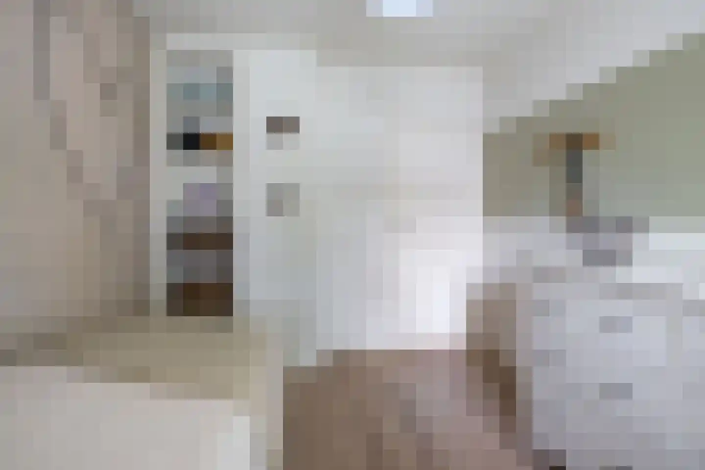 Molenkrite 5 Sneek thumbnail 41
