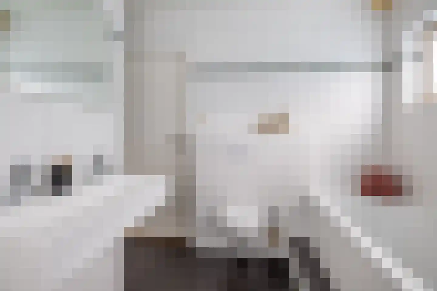 Molenkrite 5 Sneek thumbnail 44