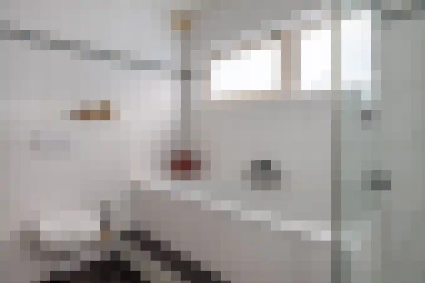Molenkrite 5 Sneek thumbnail 45