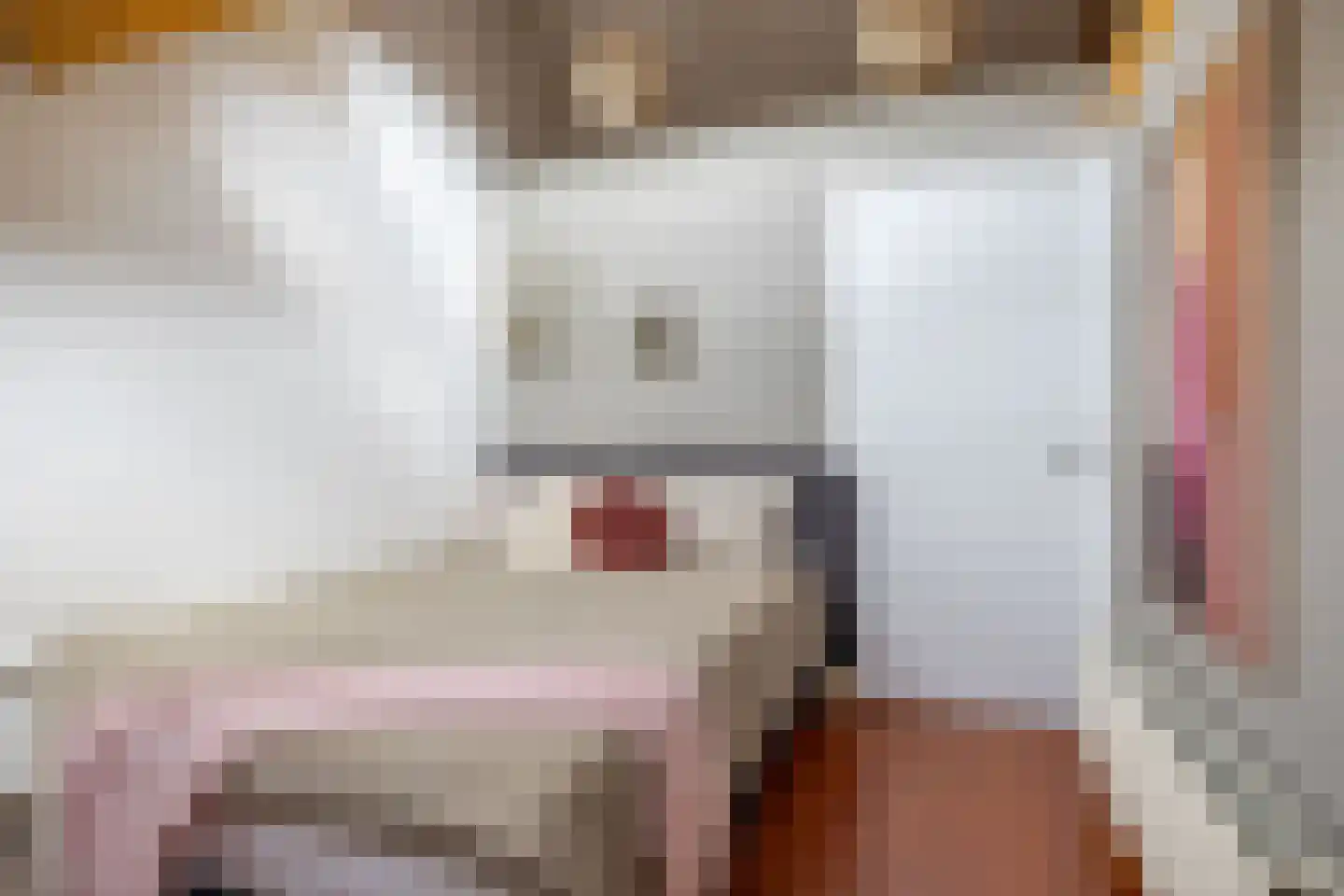 Molenkrite 5 Sneek thumbnail 52