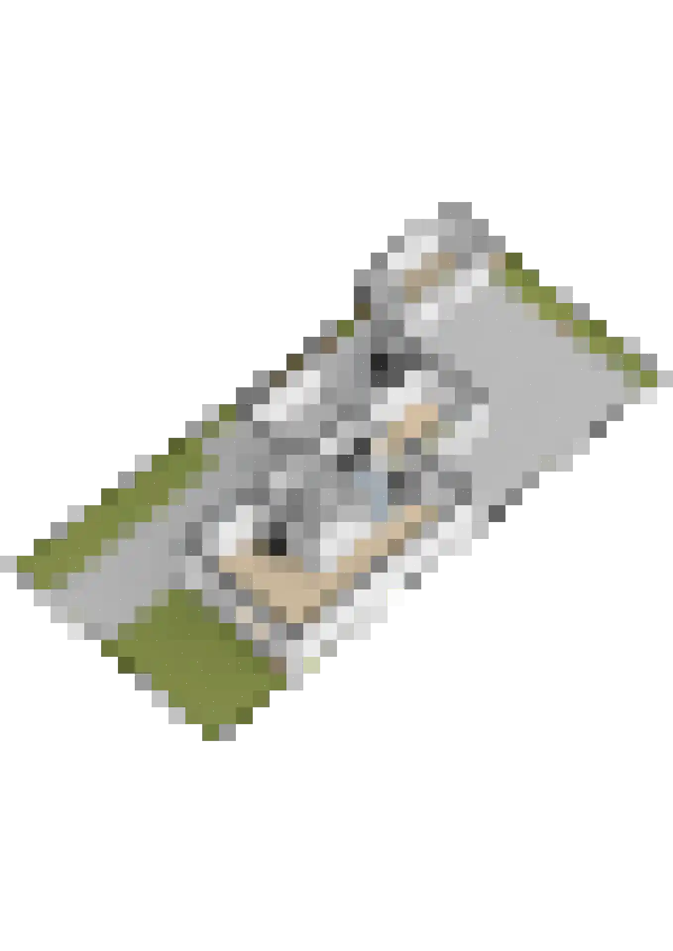 Molenkrite 5 Sneek thumbnail 71