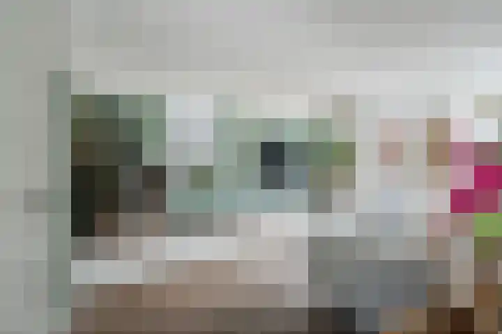 Molenkroft 3 Egmond aan den Hoef thumbnail 11