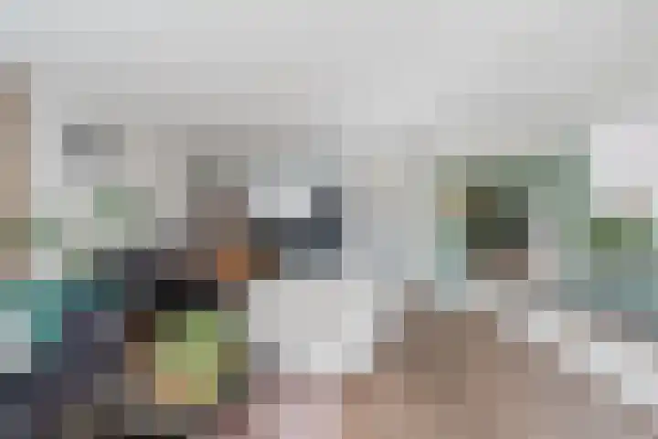 Molenkroft 3 Egmond aan den Hoef thumbnail 15