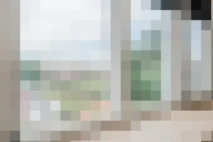 Molenkroft 3 Egmond aan den Hoef thumbnail 42