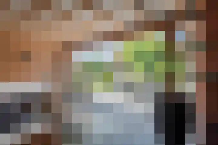 Molenkroft 3 Egmond aan den Hoef thumbnail 45
