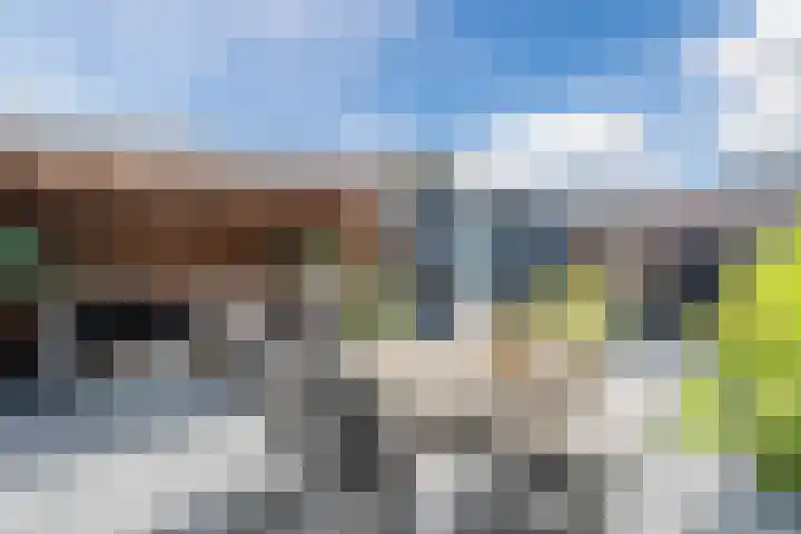 Molenkroft 3 Egmond aan den Hoef thumbnail 47
