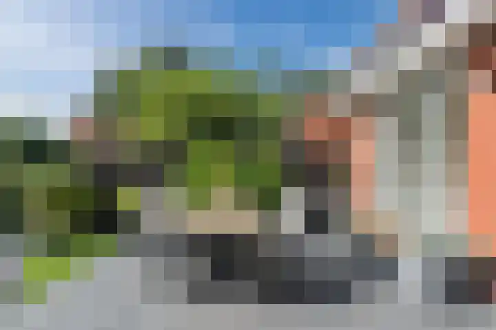 Molenkroft 3 Egmond aan den Hoef thumbnail 48