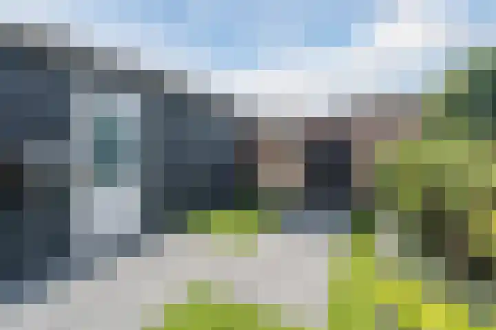 Molenkroft 3 Egmond aan den Hoef thumbnail 49