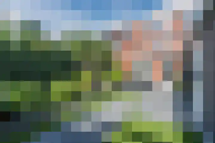Molenkroft 3 Egmond aan den Hoef thumbnail 53