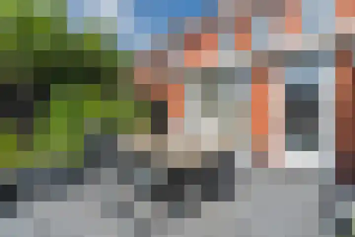 Molenkroft 3 Egmond aan den Hoef thumbnail 54