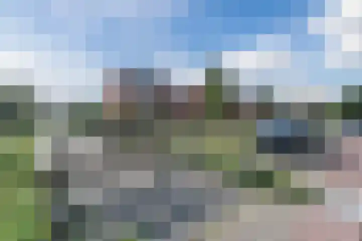 Molenkroft 3 Egmond aan den Hoef thumbnail 59