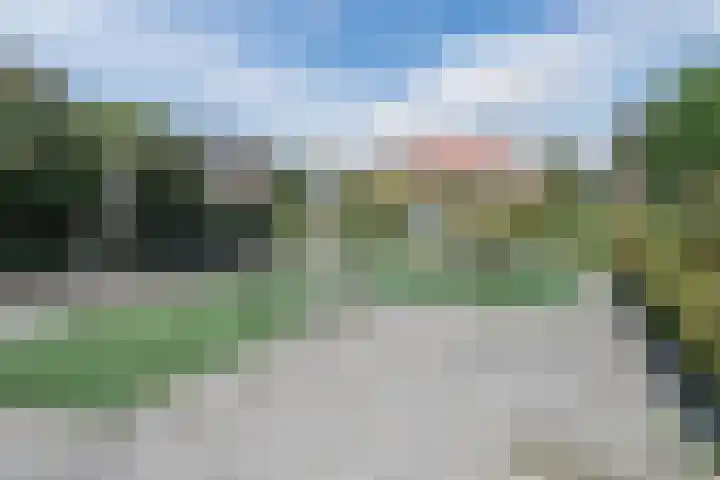 Molenkroft 3 Egmond aan den Hoef thumbnail 60