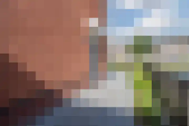 Molenkroft 3 Egmond aan den Hoef thumbnail 7