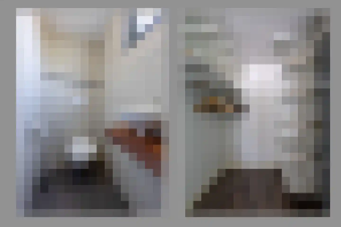 Molenkuil 2 Overasselt thumbnail 15