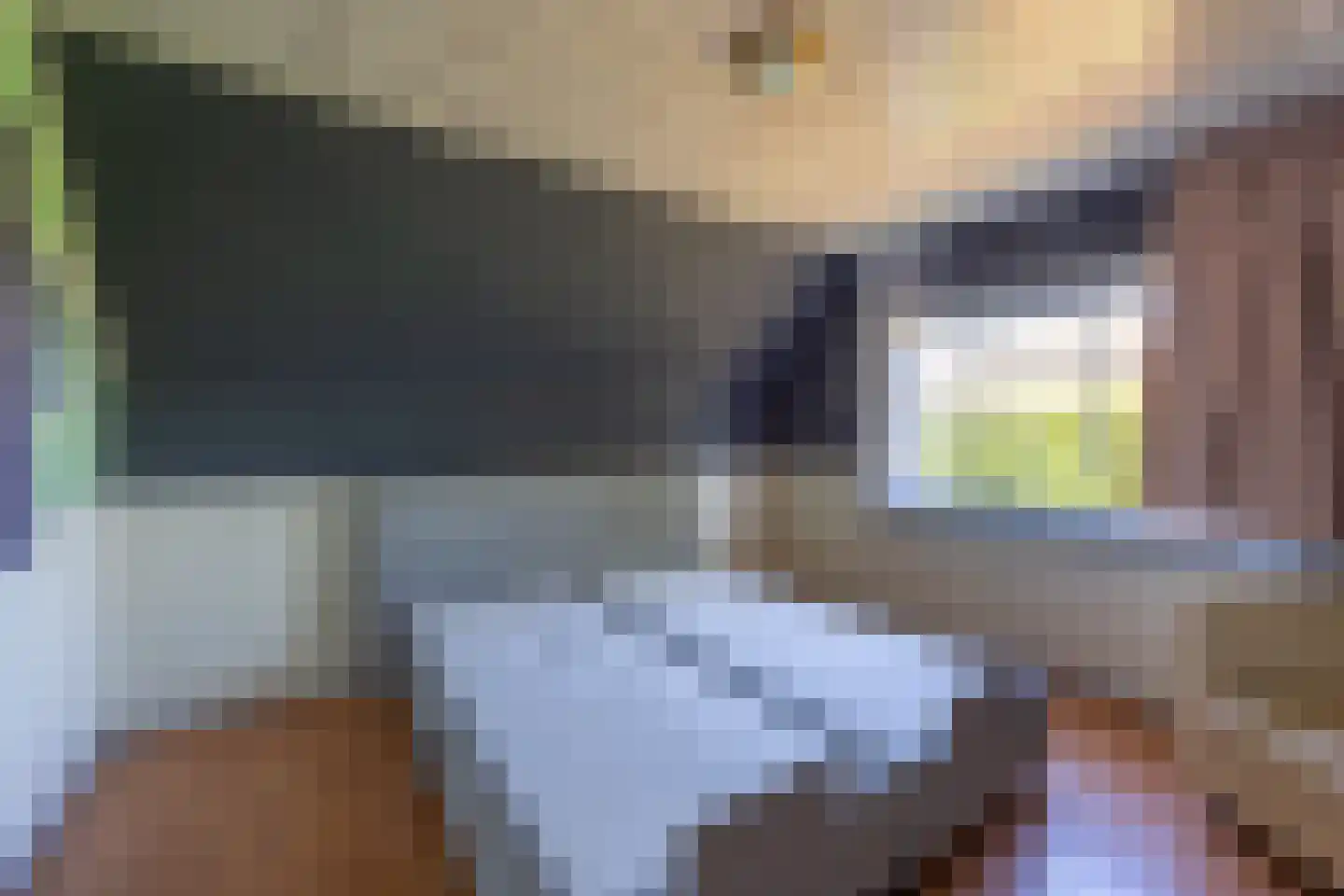 Molenkuil 2 Overasselt thumbnail 21