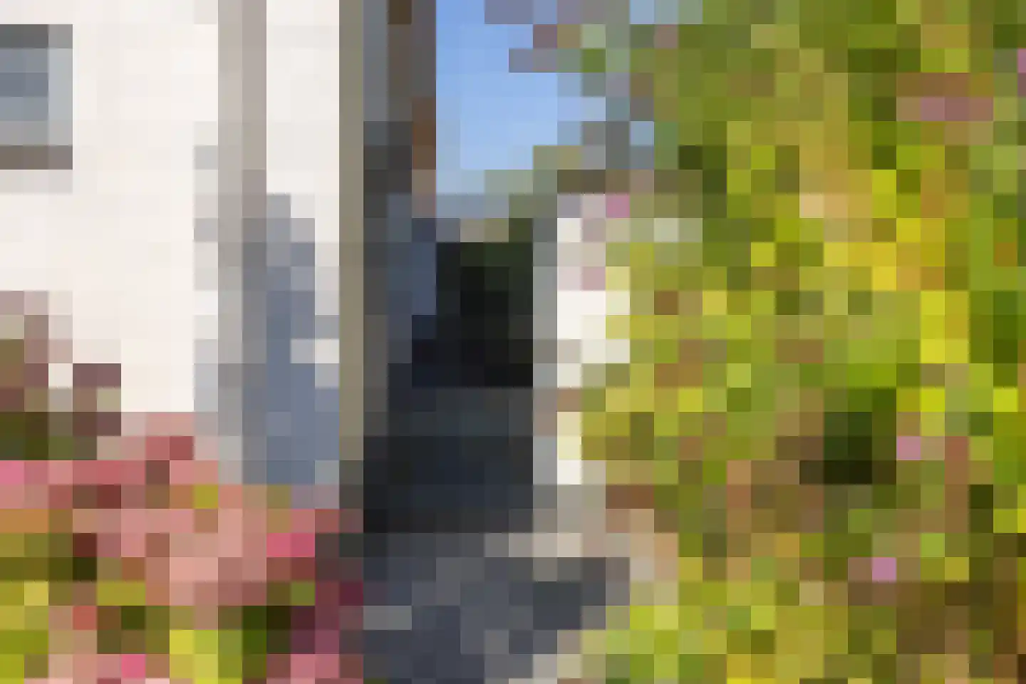Molenkuil 2 Overasselt thumbnail 27