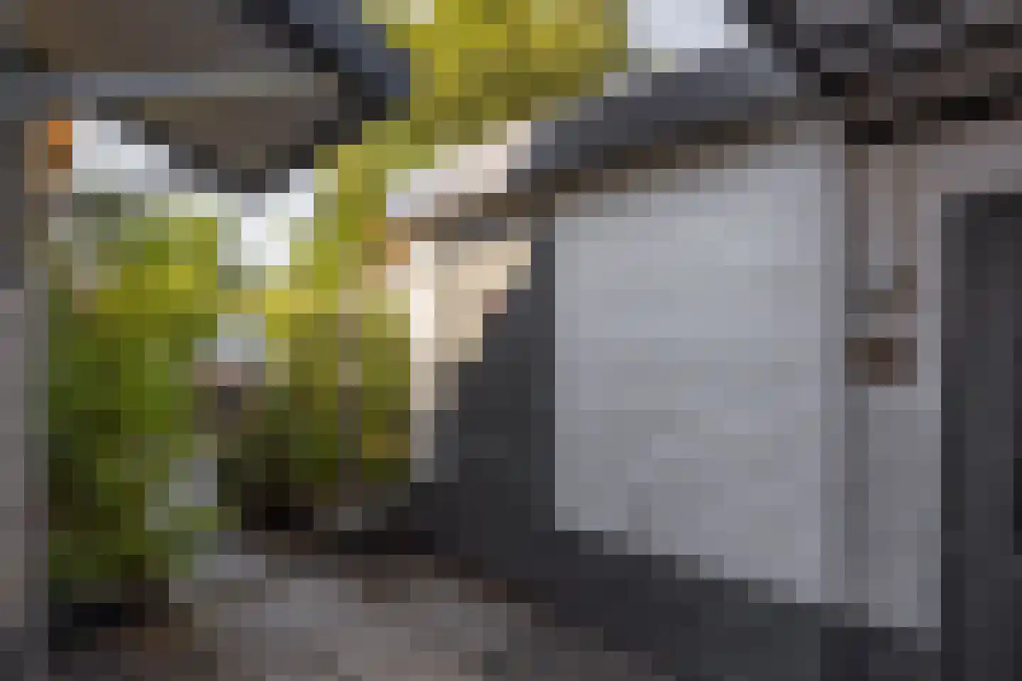 Molenkuil 2 Overasselt thumbnail 34