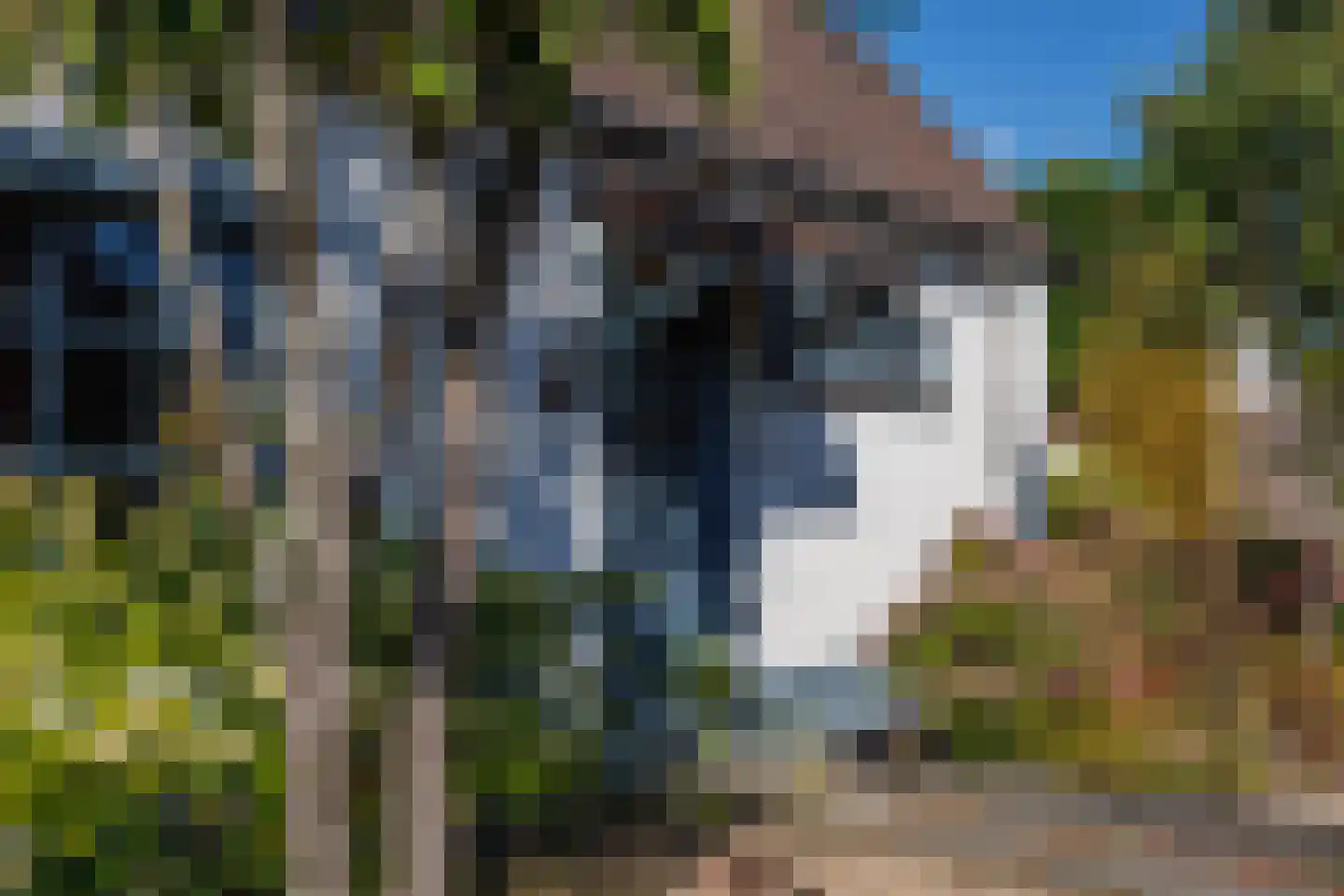 Molenkuil 2 Overasselt thumbnail 4