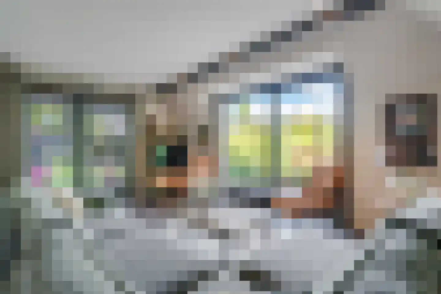 Molenlaan 1 a Frederiksoord thumbnail 13