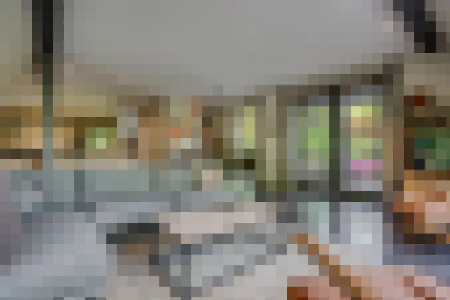 Molenlaan 1 a Frederiksoord thumbnail 14