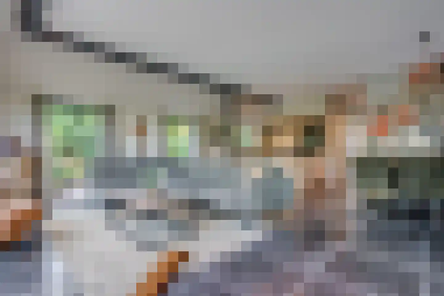 Molenlaan 1 a Frederiksoord thumbnail 15