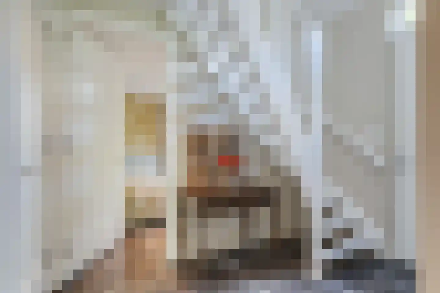 Molenlaan 1 a Frederiksoord thumbnail 18