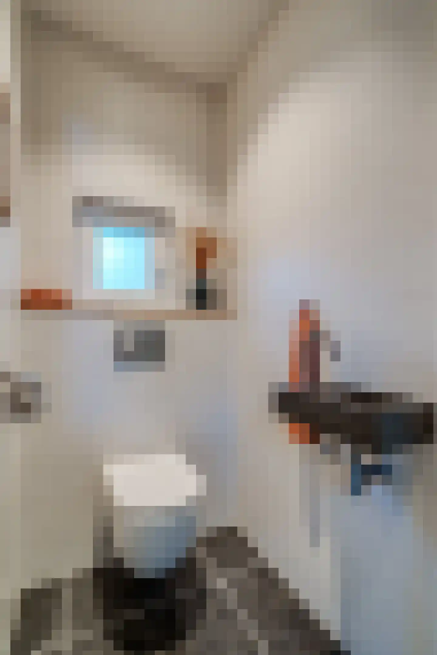 Molenlaan 1 a Frederiksoord thumbnail 26
