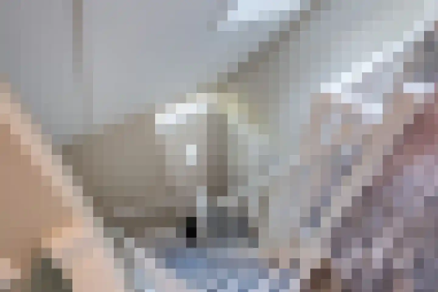 Molenlaan 1 a Frederiksoord thumbnail 28