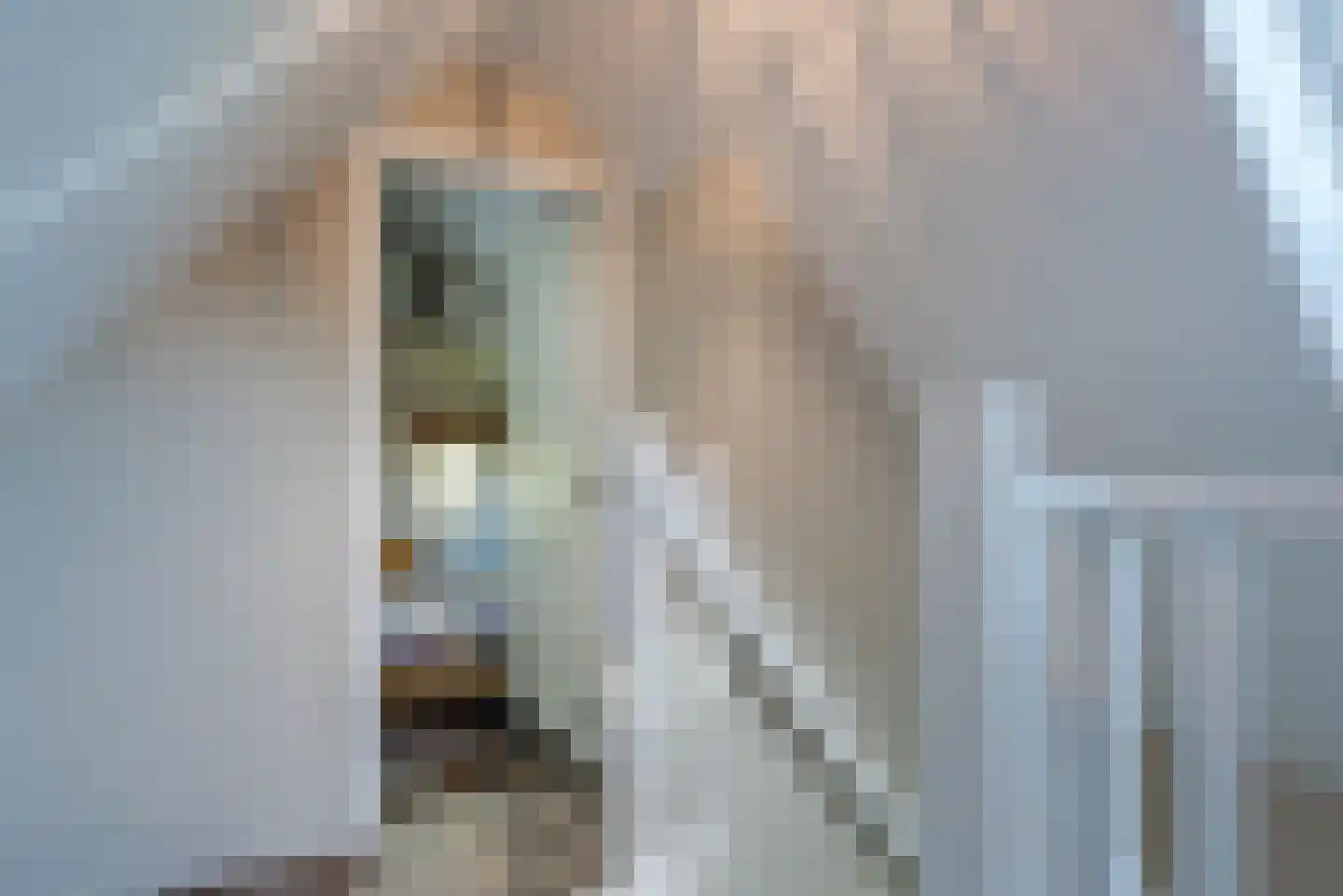Molenlaan 1 a Frederiksoord thumbnail 29