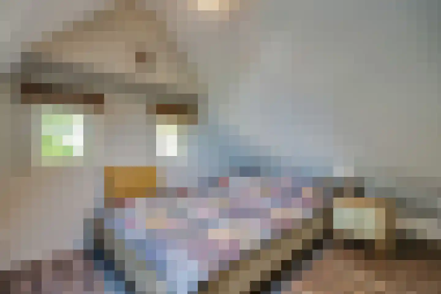 Molenlaan 1 a Frederiksoord thumbnail 30