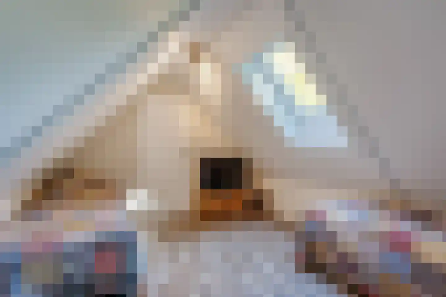 Molenlaan 1 a Frederiksoord thumbnail 33