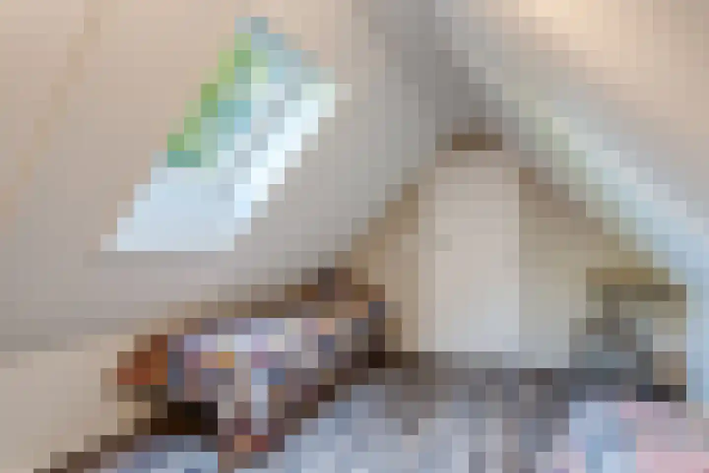 Molenlaan 1 a Frederiksoord thumbnail 34