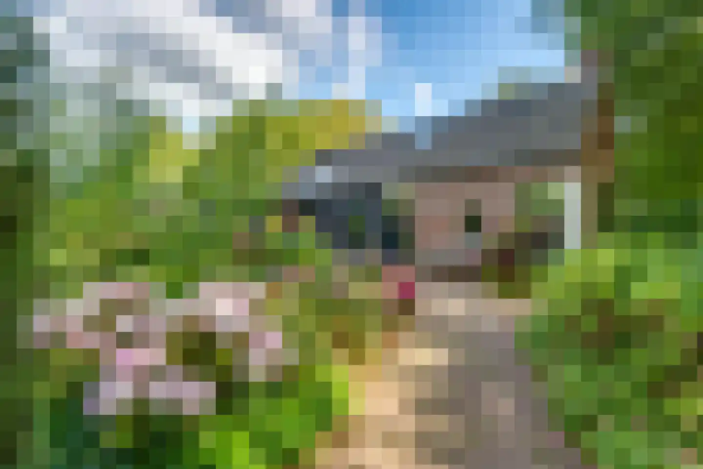 Molenlaan 1 a Frederiksoord thumbnail 35