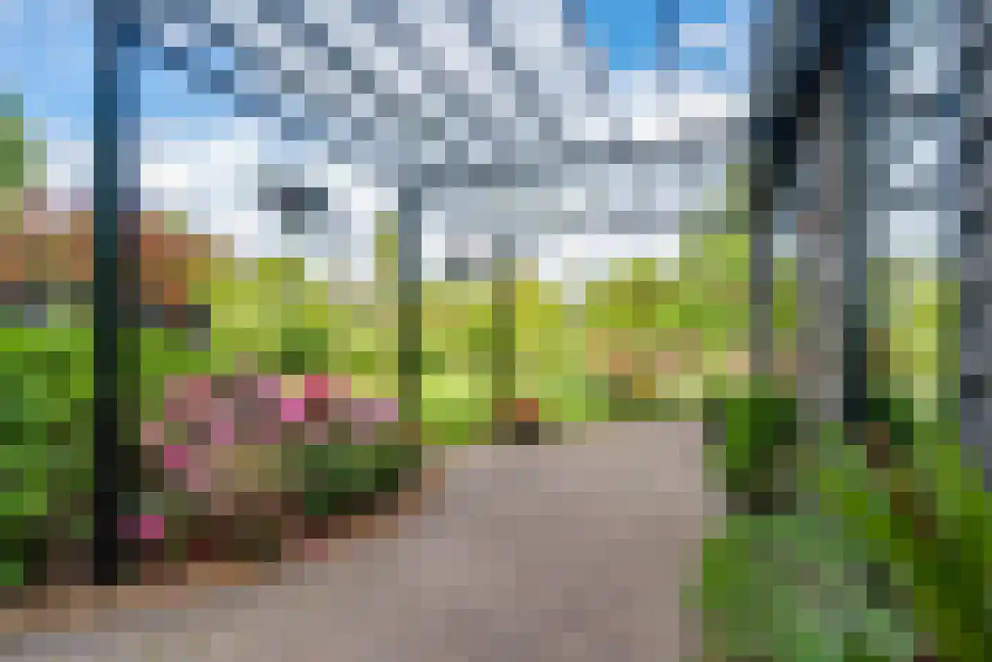 Molenlaan 1 a Frederiksoord thumbnail 38