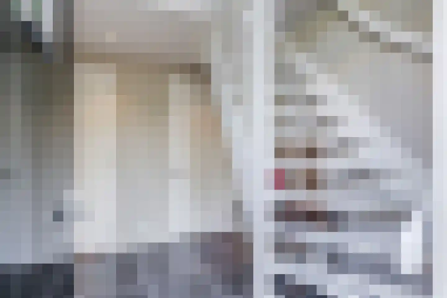 Molenlaan 1 a Frederiksoord thumbnail 4
