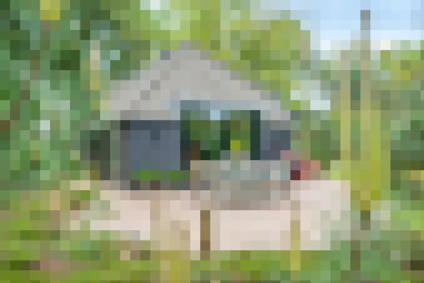 Molenlaan 1 a Frederiksoord thumbnail 40