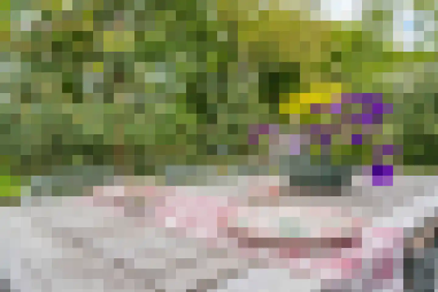 Molenlaan 1 a Frederiksoord thumbnail 43