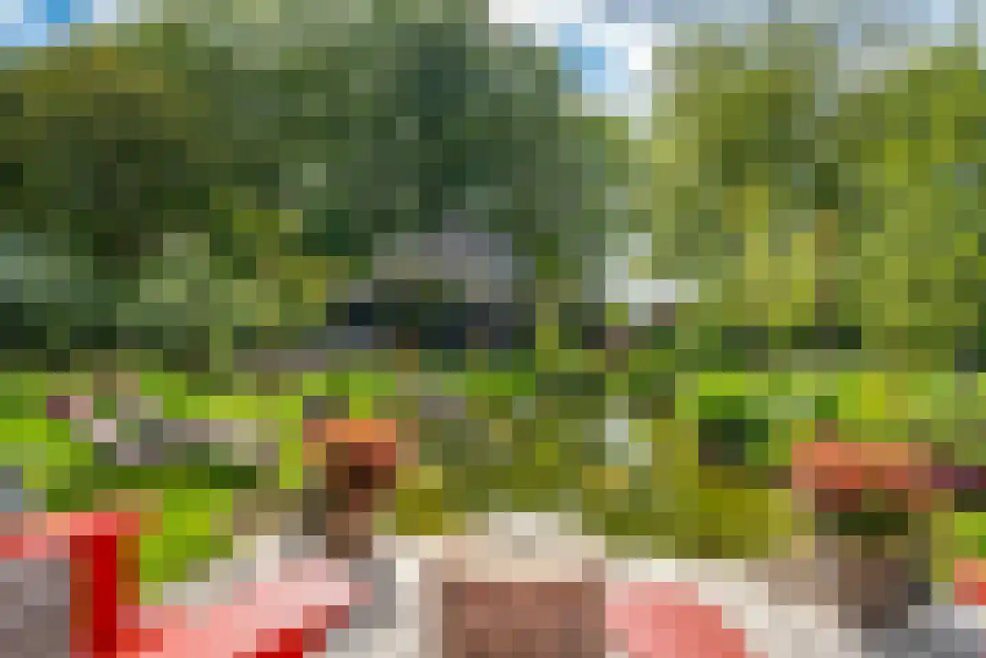 Molenlaan 1 a Frederiksoord thumbnail 44